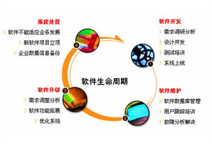 軟件開發(fā)技術(shù)與信息系統(tǒng)集成服務(wù)概述