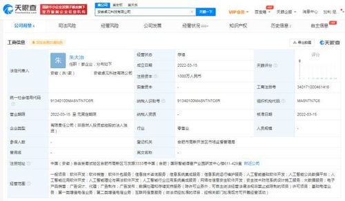 科大訊飛拓展業務版圖，安徽新設兩家軟件開發公司
